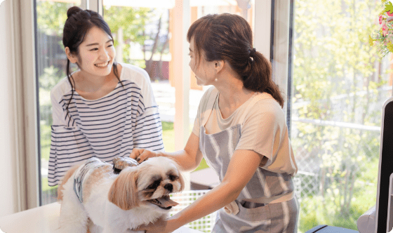 ペットシッターがお客様の犬をお世話する様子