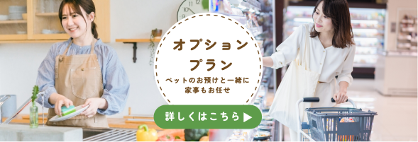 オプションプラン｜ペットのお預けと一緒に家事もお任せ