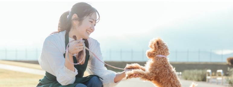 女性ペットシッターが犬をお世話している様子